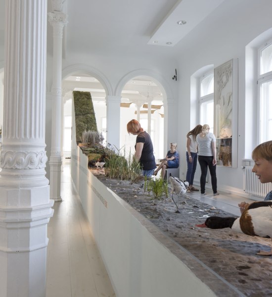 Einblick in den Ausstellungsraum "K&uuml;ste und Marsch"